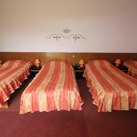 Logis Relais Paris Bale - Restaurant La Mangeoire Hotell 3*