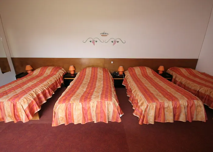 Logis Relais Paris Bale - Restaurant La Mangeoire Отель 3*