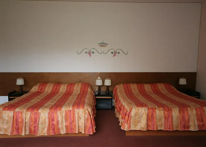 Logis Relais Paris Bale - Restaurant La Mangeoire 3* Montieramey